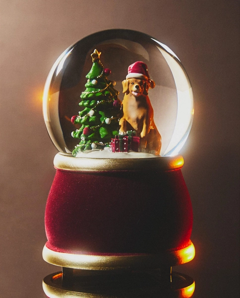 BOLA NEVE CÃO GOLDEN RETRIEVER NATAL