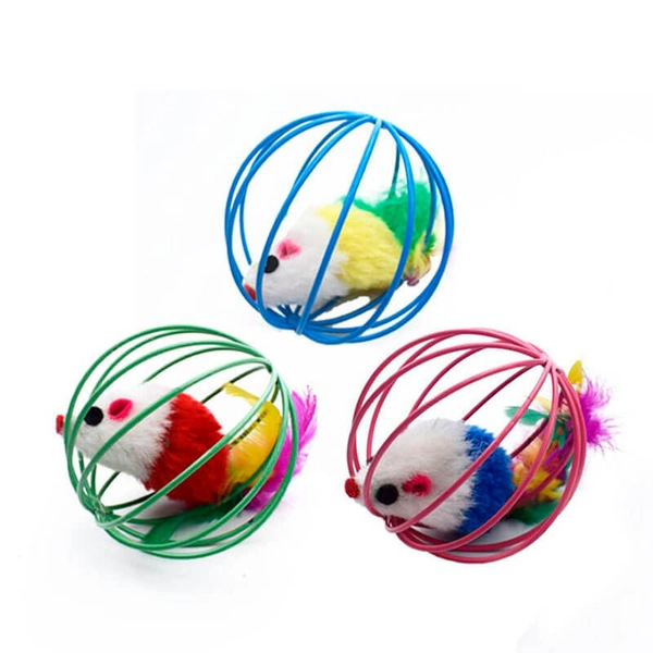 Mouse in a Cage