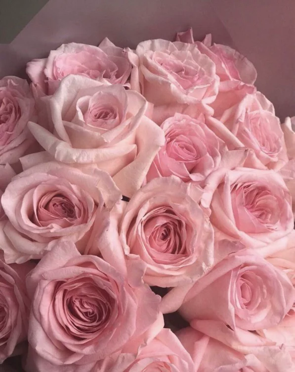 flowers 🌸