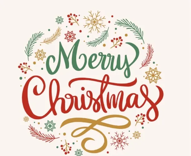 Merry Christmas 🌲