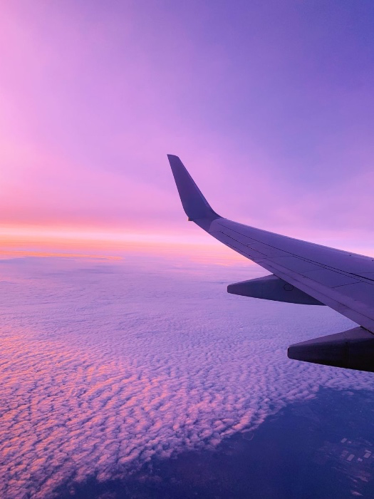 Travel plans 