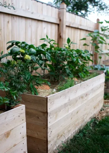 Raised garden bed setup