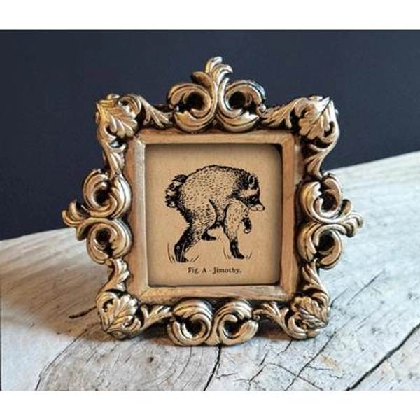 Jimothy Raccoon Print - Vintage-Style Raccoon Art in Gold Frame (V2)