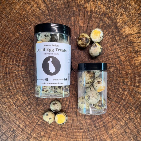 Freeze Dried Whole Quail Eggs: Natural Dog & Cat Treats - Etsy