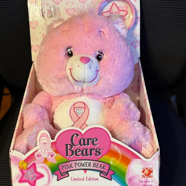 LIMITED EDITION
Pink Power Bear Care Bear plush toy...