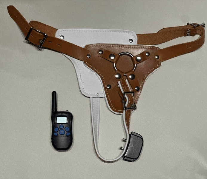 Asylum Style Leather Shock Panties