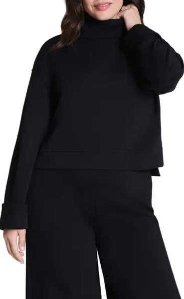 Cuffed Sleeve Crop Turtleneck Sweatshirt