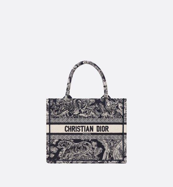 Small Dior Book Tote
