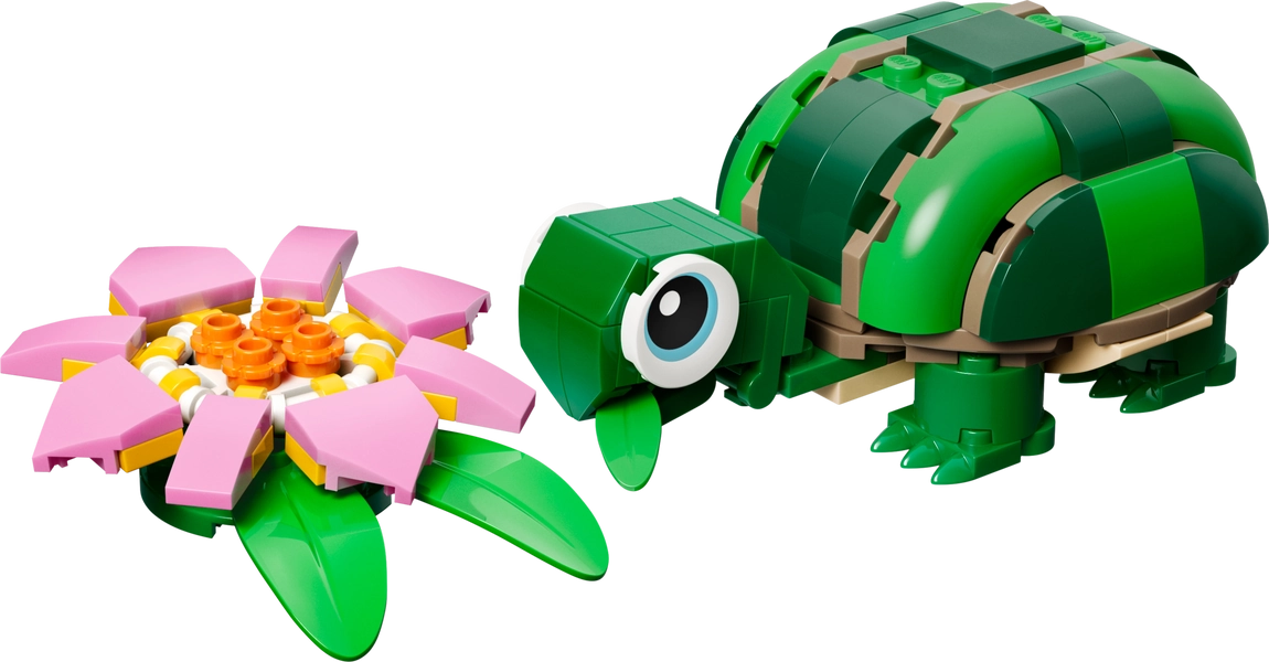 Skildpadde med åkandeblomst