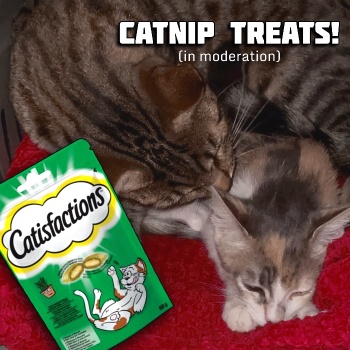 Catisfactions Catnip Treats