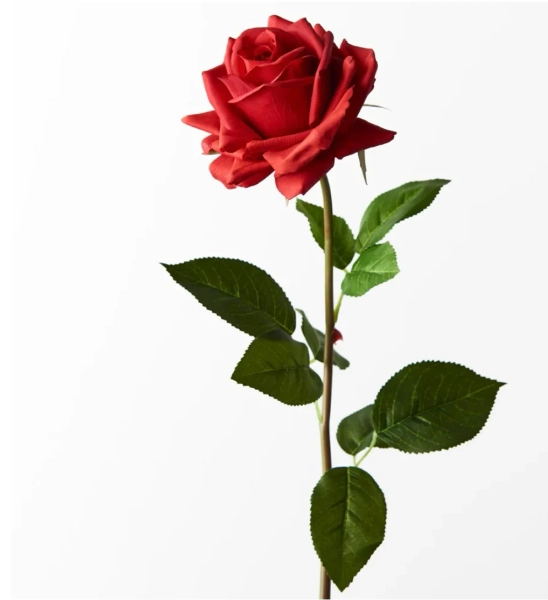 Red Real touch Rose
