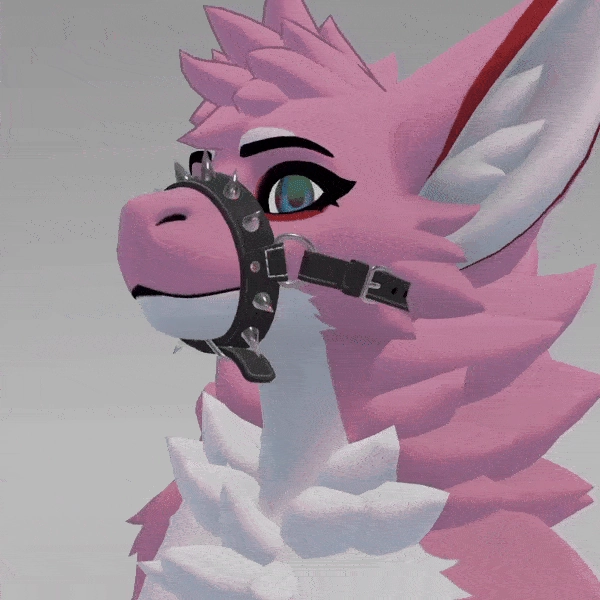Muzzle by Fara on Jinxxy