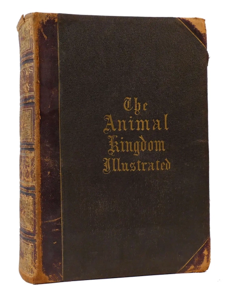 JOHNSON'S NATURAL HISTORY, COMPREHENSIVE, SCIENTIFIC, AND POPULAR, ILLUSTRATING AND DESCRIBING THE ANIMAL KINGDOM WITH ITS WONDERS AND CURIOSITIES VOLUME II by Samuel G. Goodrich on Rare Book Cellar