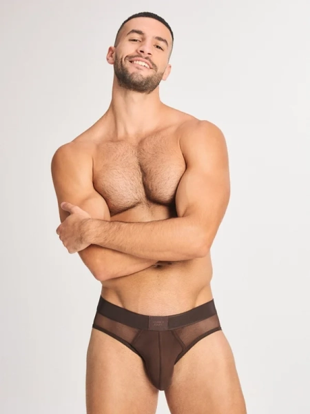 Sheer Edge Briefs L