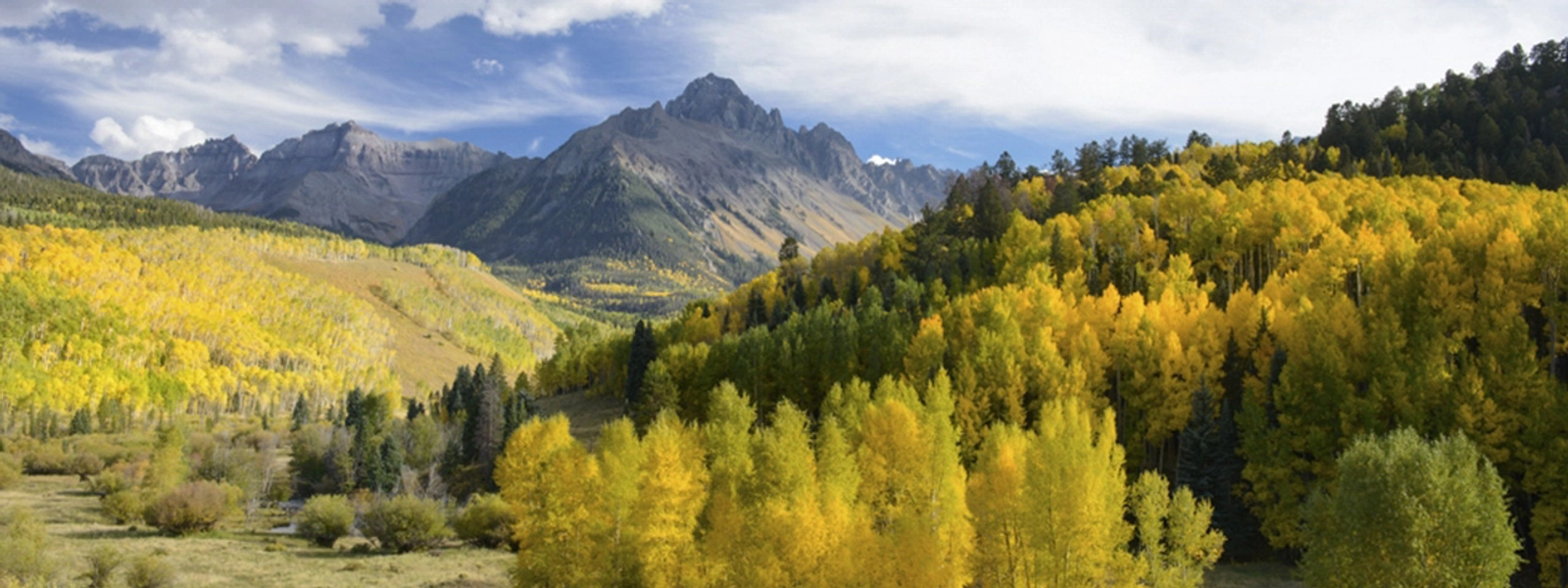 Your support helps save the Earth