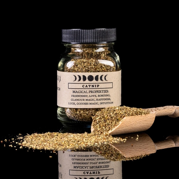 CATNIP - Witchcraft Spell Herb Jar for Spellwork - Apothecary Curio - Etsy