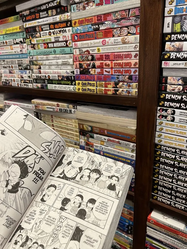 Anime Books