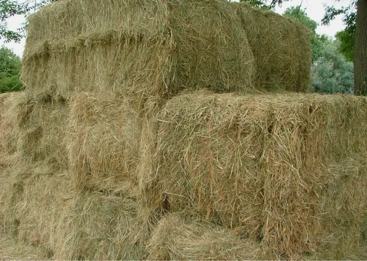 3 bales of hay 
