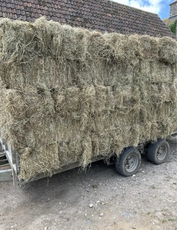 Hay bales x 5 