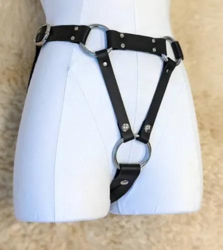 Harness