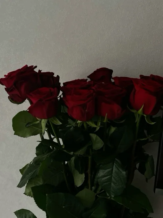Roses