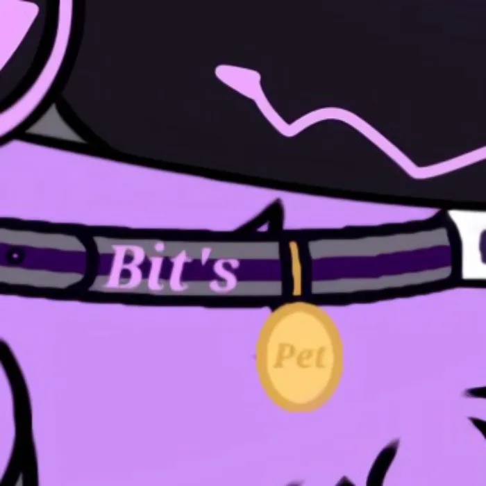 Collared and content!