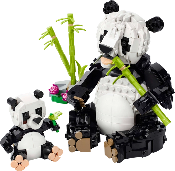 Wild Animals: Panda Family