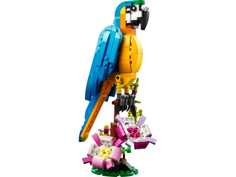 Exotische papegaai