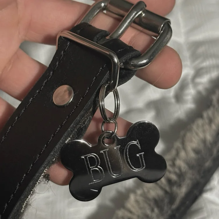 a little gift for a little doggie :3