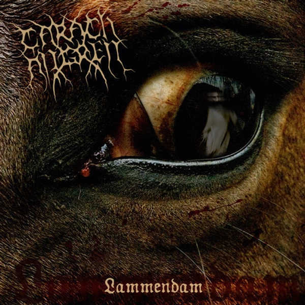 Carach Angren - Lammendam 2LP 2013 orchestral black metal brown vinyl