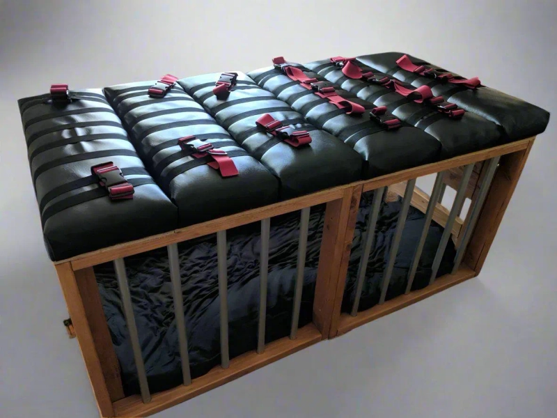 Bondage Table