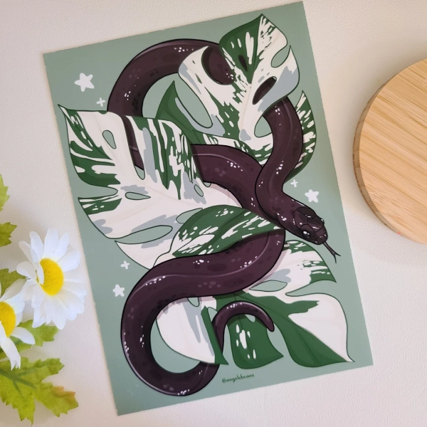 Mexican Black Kingsnake With Variegated Monstera Deliciosa 5×7 Art Print | Snake Art | Home Decor | Wall Art Gift | Postcard | Semi Gloss - Etsy Canada