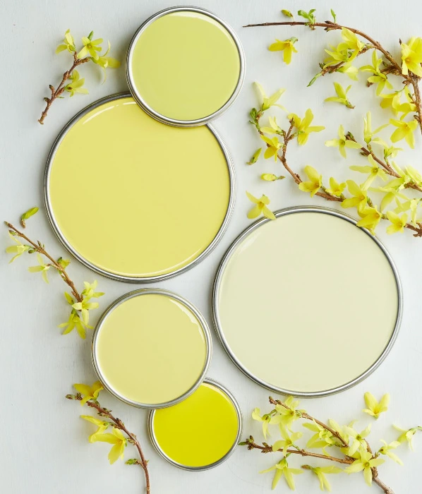 Paint Supplies