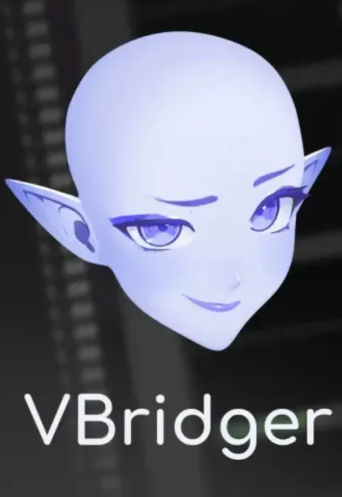 Vbridger Key