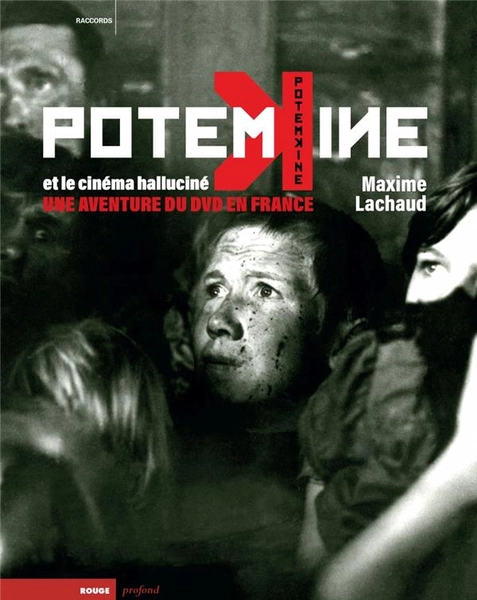 Potemkine et le cinéma hallucine ; une aventure du DVD en France - Potemkine Paris