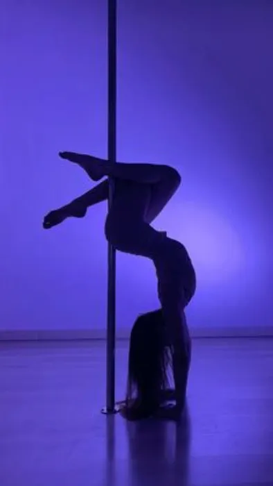 My Monthly Pole Dance Pass 🩰