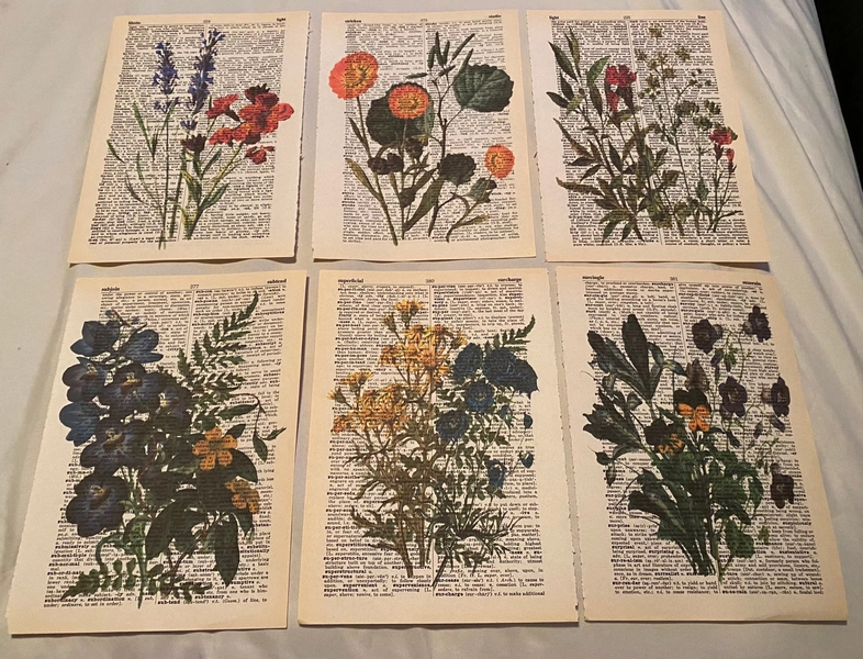 Flower Themed dictionary prints