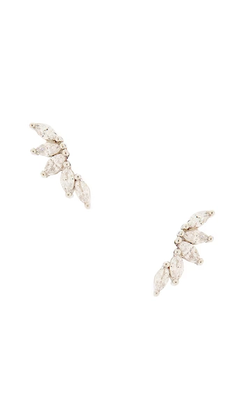 Fallen Leaf Ear Climber