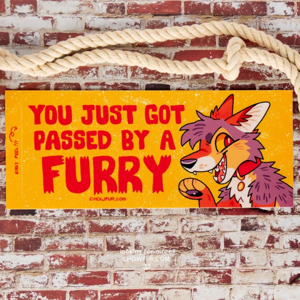 You Just Got Passed by A Furry Bumper Sticker - Etsy