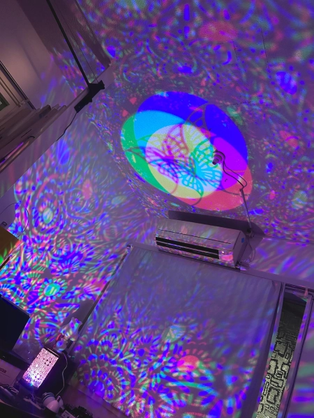 Niji Lantern _ Butterfly yard pattern _ RGB or CMY or etc... _ Portable with 3 AAA batteries or Bulb AC85-265V 26E27E type with outlet plug