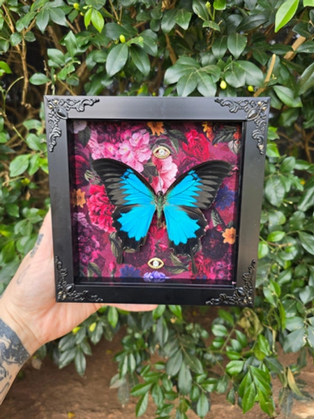 Papilio Uyless + "Vintage Look" & Metal Decor  | Salsas Insects