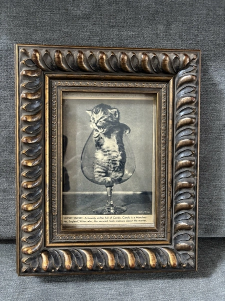 Vintage Cat Ephemera Newspaper Magazine Clipping Framed Art
