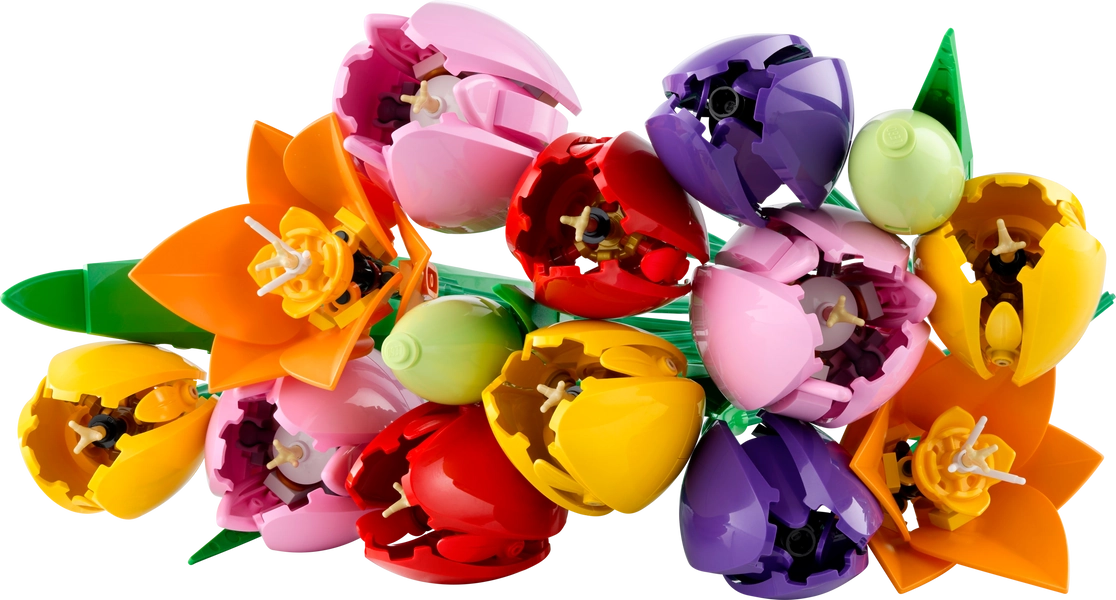 Le bouquet de tulipes