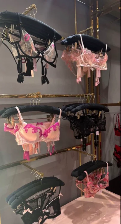 Lingerie Shopping 