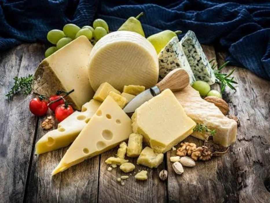 Buy me cheese! 🧀
