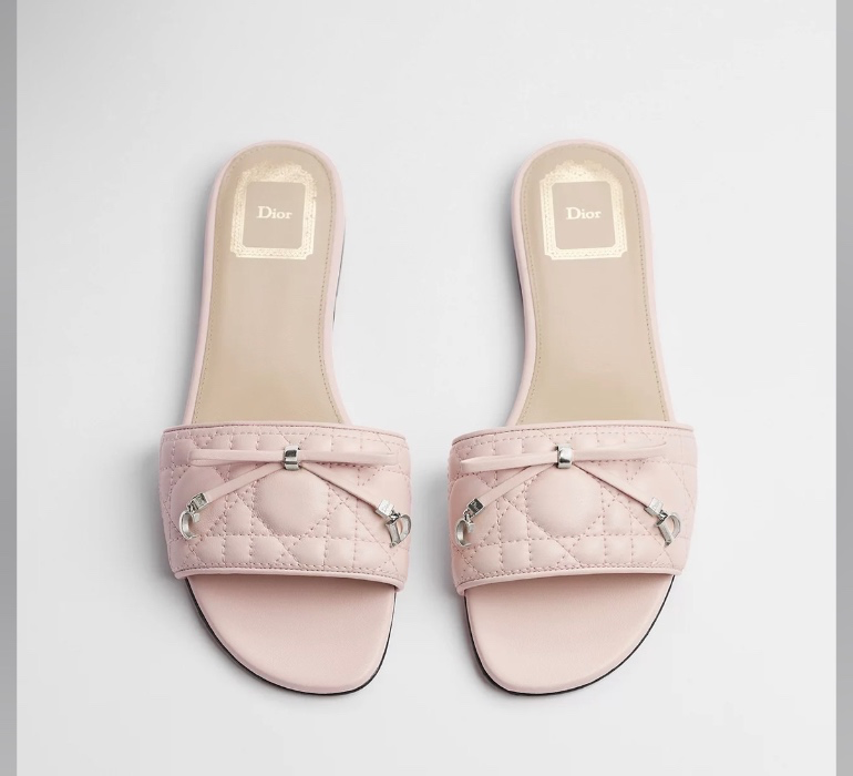 Dior Slides