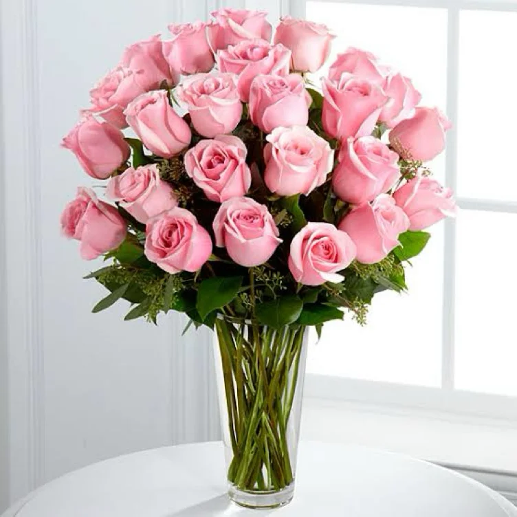 🌷🌷🌷