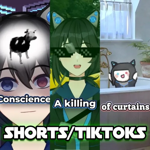 Shorts/Reels/Tiktok Funds!~