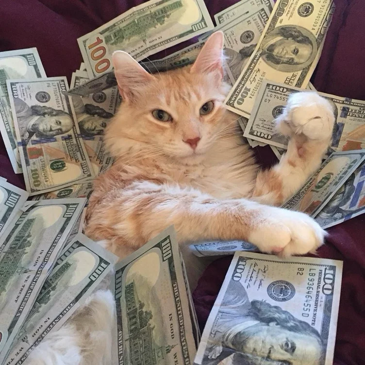 £100 for me