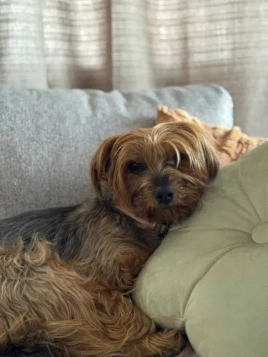 Treats for my baby 𖠇